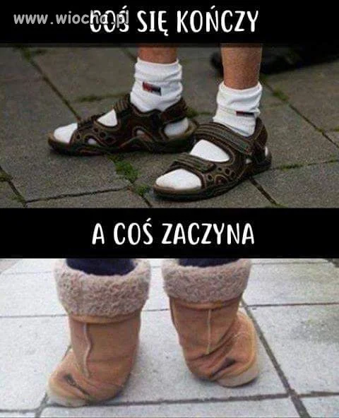 I wszystko 