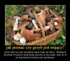 Czy grzyb jest trujący?