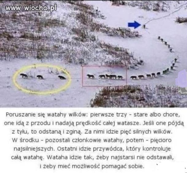 Może ludzie powinni uczyć 