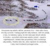 Może ludzie powinni uczyć 