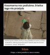 Bez komentarza