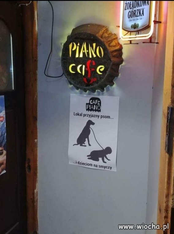 Przyjazny 