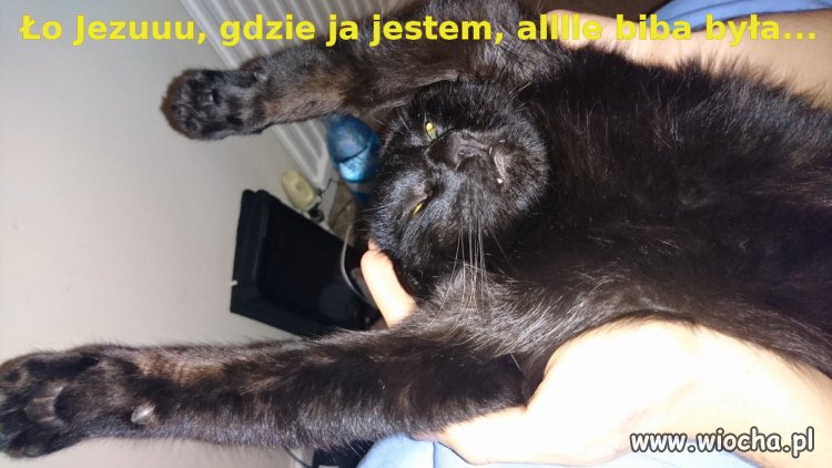 Kto to jest ??
