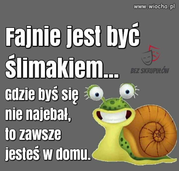 Co racja