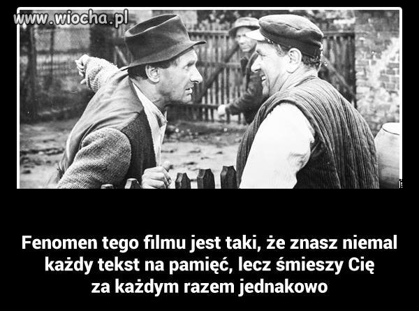Coś w tym jest
