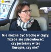 Albo jesteśmy...