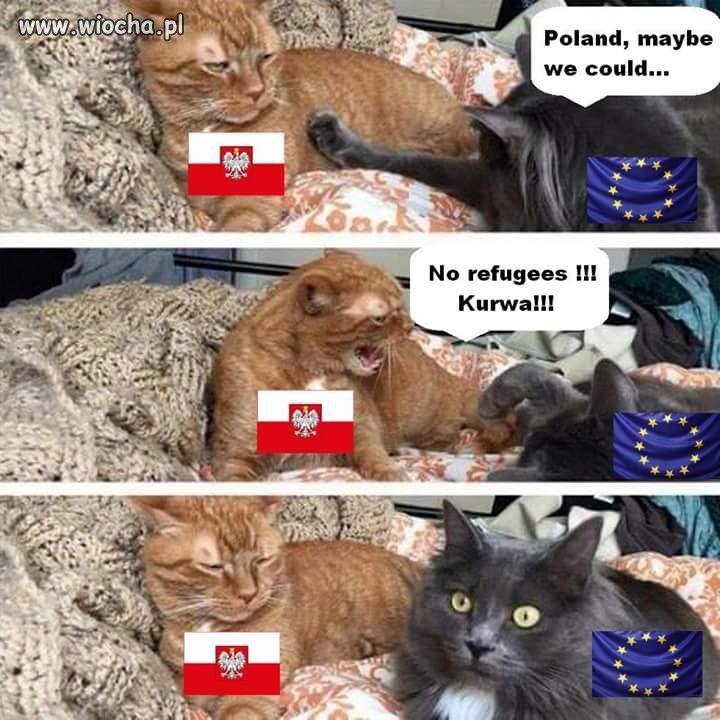 I tyle w temacie 