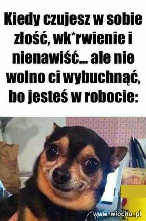 Pracownik miesiąca