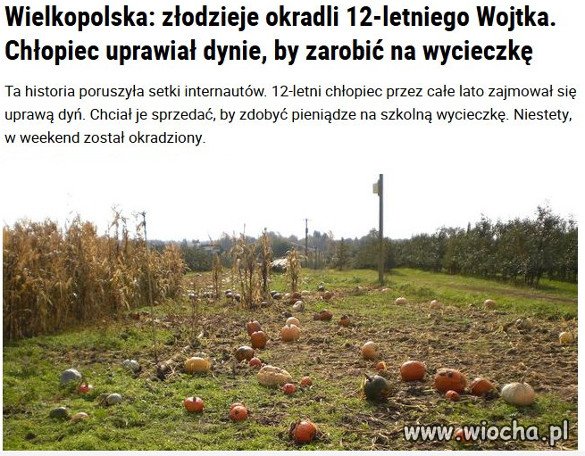 Kiedyś ucinano łapy