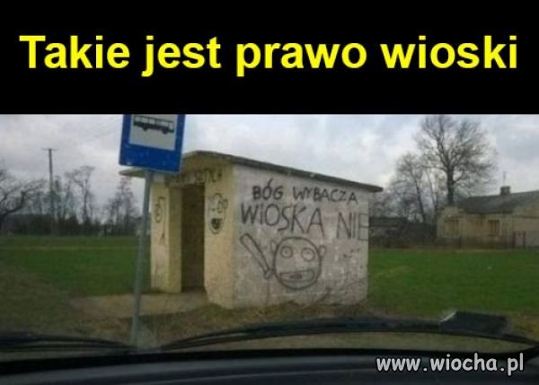 Prawo