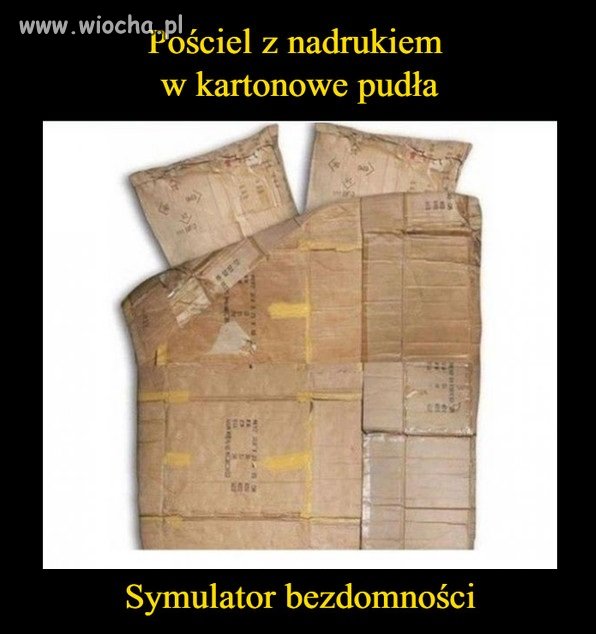 Symulator bezdomności