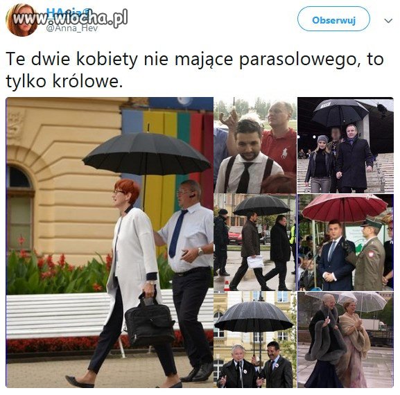 Parasolowi