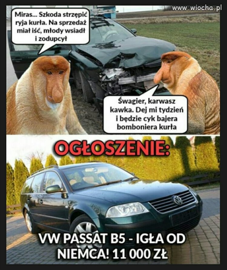 Paskiem do szwagra
