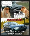 Paskiem do szwagra