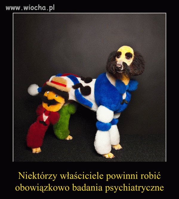 Jestem Za