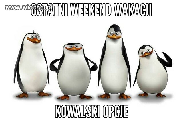 Specjalista...