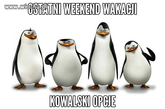 Specjalista...