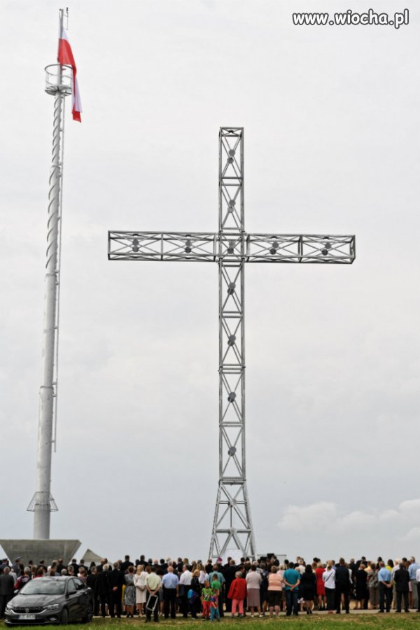 Tuli(my)głowy