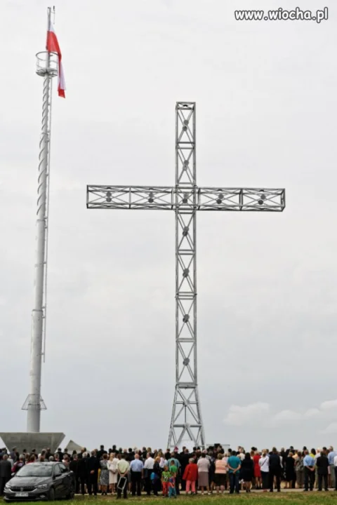 Tuli(my)głowy