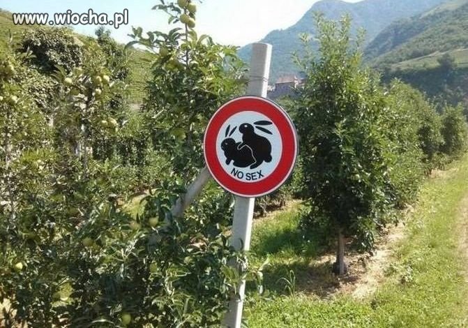 Nowy znak. Zabrania się jedzącym krowę.