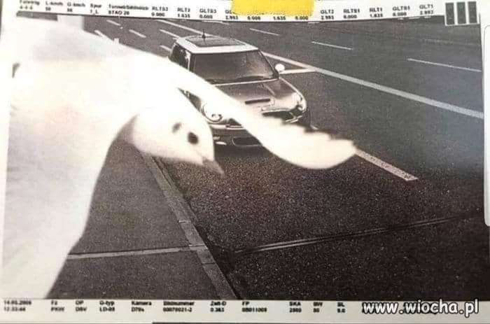 Tak wygląda szczęście 