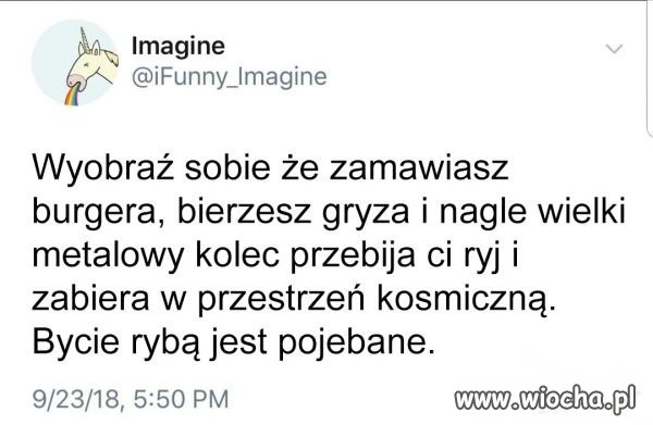 Ryby to