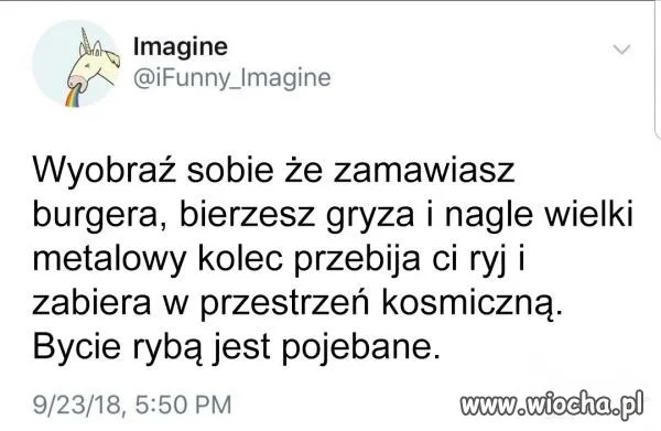 Ryby to