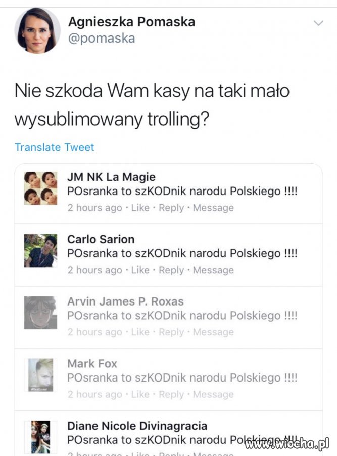 Pisowskie boty w akcji