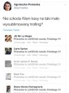 Pisowskie boty w akcji