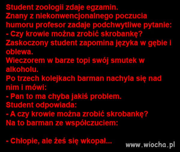 Odpowiedzi brak, 