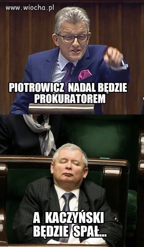 Historia lubi