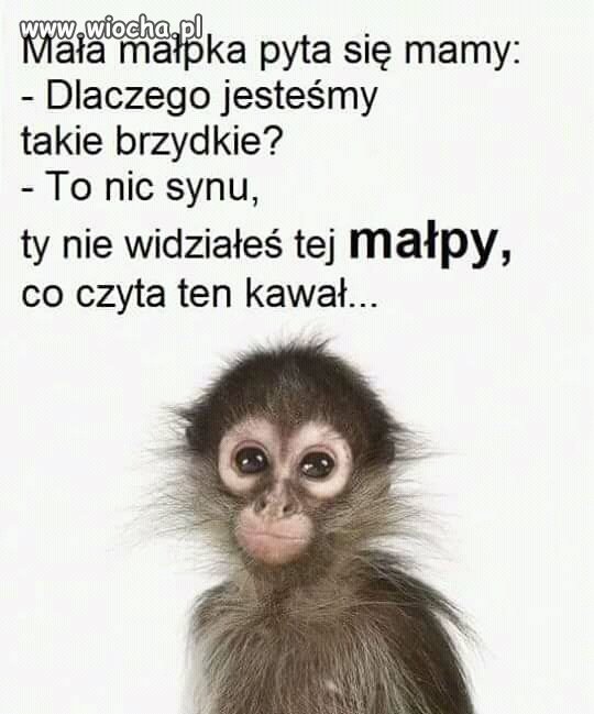 Ciekawe kogo