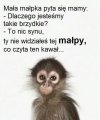 Ciekawe kogo