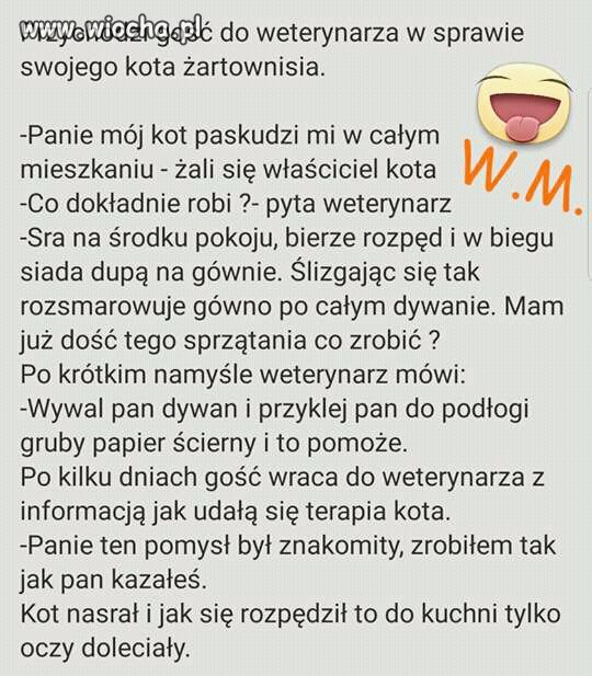Chciałbym to