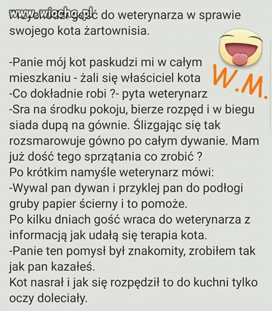 Chciałbym to