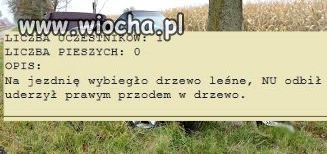 Mamy biegające drzewa?