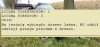 Mamy biegające drzewa?