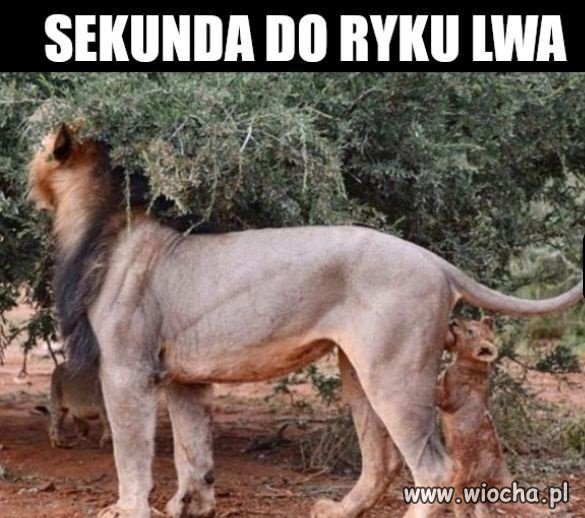 Już za chwileczkę