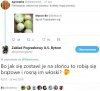 Skojarzenia 