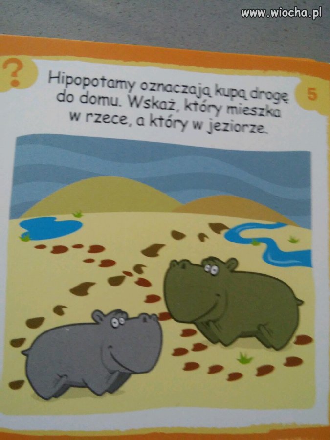 Rok szkolny rozpoczęty.