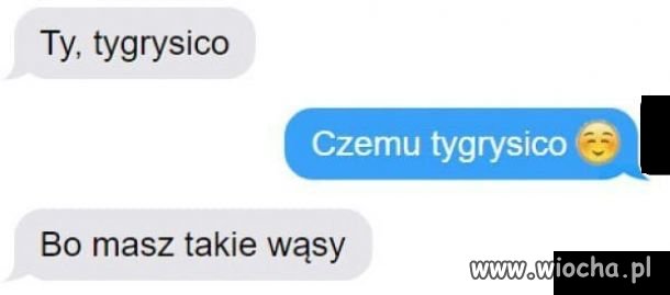 Mistrzowski