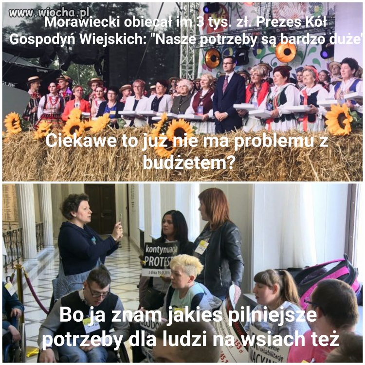 Pinokio w imieniu partii inwestuje...
