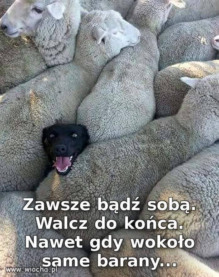 Takie