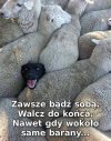 Takie