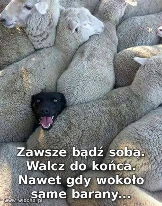 Takie