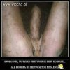 Jakie jest wasze