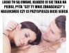 Wykrywacz