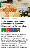 Pomysłowy dobromil 