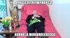 Z cyklu sztywny elektorat 
