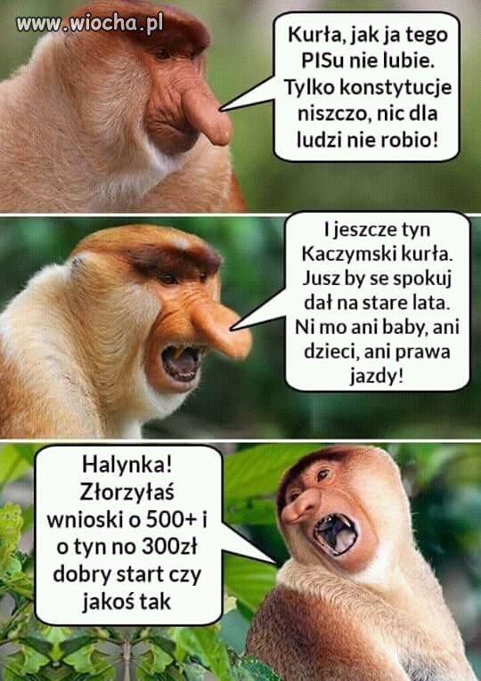 Większość internetowych troli
